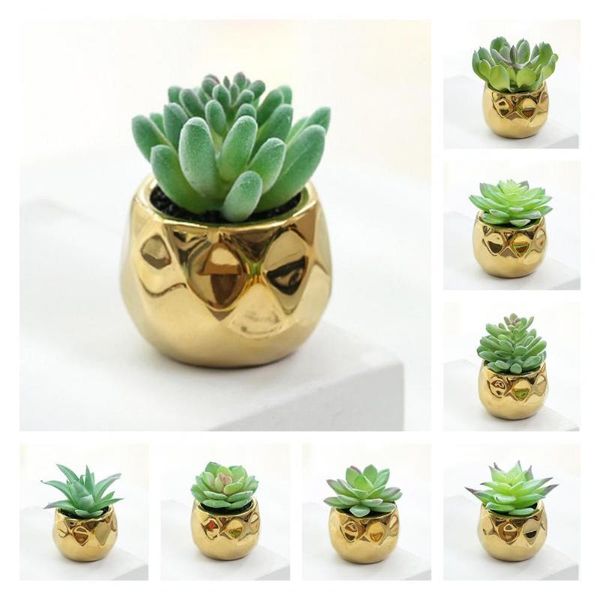 decorative flowers & wreaths easy to care golden ceramic pots mini artificial succulent plants for dormitory
decorative flowers & wreaths easy to care golden ceramic pots mini artificial succulent plants for dormitory
