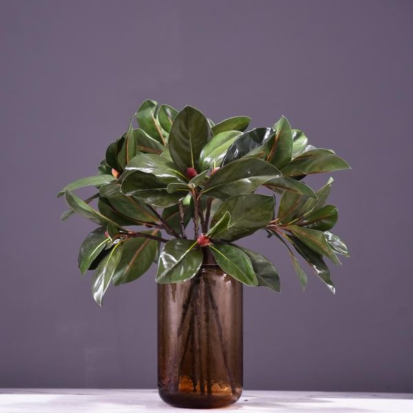decorative flowers & wreaths mbf simulation magnolia leaf branch plastic artificial leaves fake flower plant wedding decor home el decoratio
decorative flowers & wreaths mbf simulation magnolia leaf branch plastic artificial leaves fake flower plant wedding decor home el decoratio