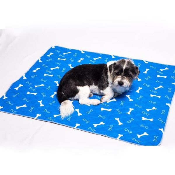 pet bone printing urine mat washable dog training for cat non-slip absorbent kennels & pens
pet bone printing urine mat washable dog training for cat non-slip absorbent kennels & pens