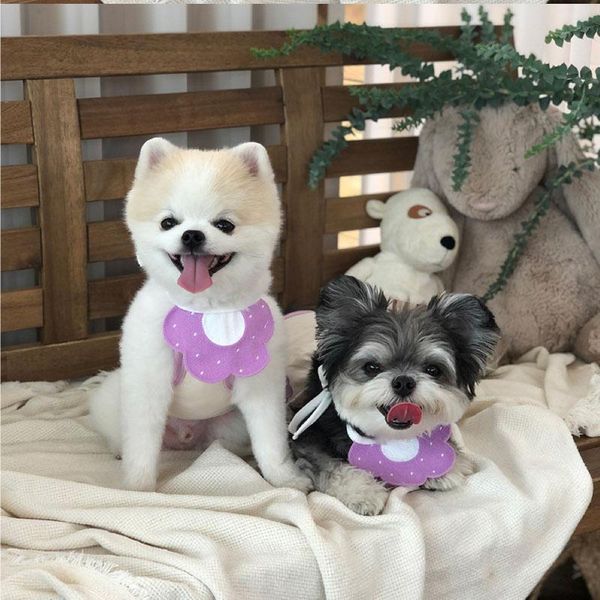 cat collars & leads dog clothes decor accessories pets knit bibs cute for small medium dogs adjustable kitten puppy necklace bow tie
cat collars & leads dog clothes decor accessories pets knit bibs cute for small medium dogs adjustable kitten puppy necklace bow tie