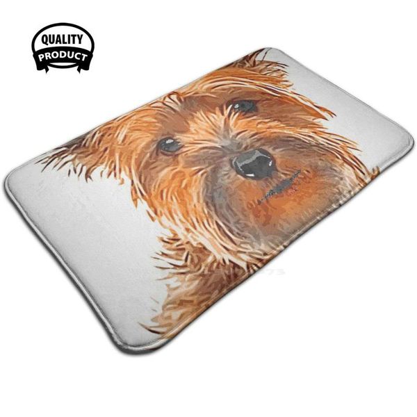 carpets yorkshire soft house family anti-slip mat rug carpet terrier pet energetic feisty domineering
carpets yorkshire soft house family anti-slip mat rug carpet terrier pet energetic feisty domineering