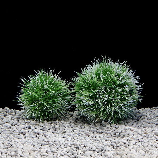 decorations aquarium plant for the fish tank decor plastic pet supplies artificial grass green seaweed ball
decorations aquarium plant for the fish tank decor plastic pet supplies artificial grass green seaweed ball