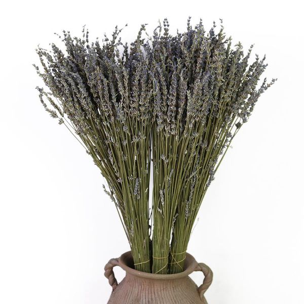 decorative flowers & wreaths 110g natural dried lavender plant bundle air freshener for bouquets buds
decorative flowers & wreaths 110g natural dried lavender plant bundle air freshener for bouquets buds