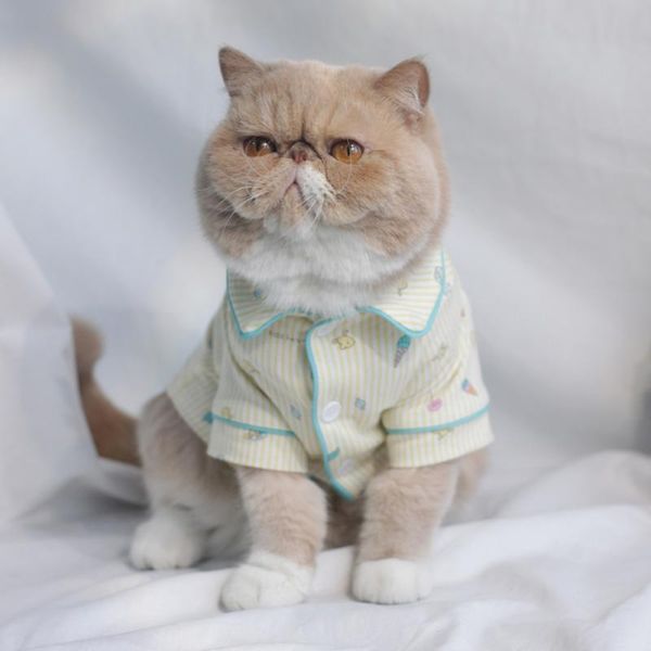 cat costumes coat comfortable cardigan pet cotton clothes puppy hoodie jacket hairless shirt kitten supplies chihuahua
cat costumes coat comfortable cardigan pet cotton clothes puppy hoodie jacket hairless shirt kitten supplies chihuahua