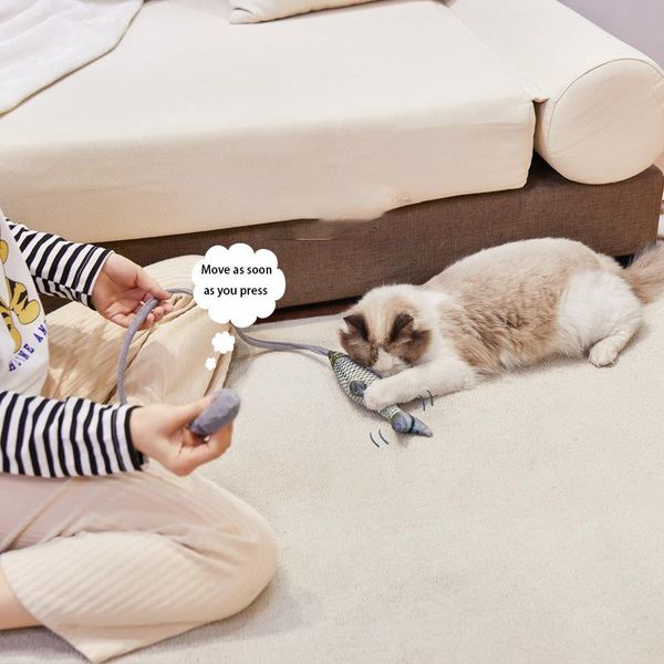 cat toys funny stick creative interactive toy catnip teaser pet simulation beating fish self-hey supplies
cat toys funny stick creative interactive toy catnip teaser pet simulation beating fish self-hey supplies