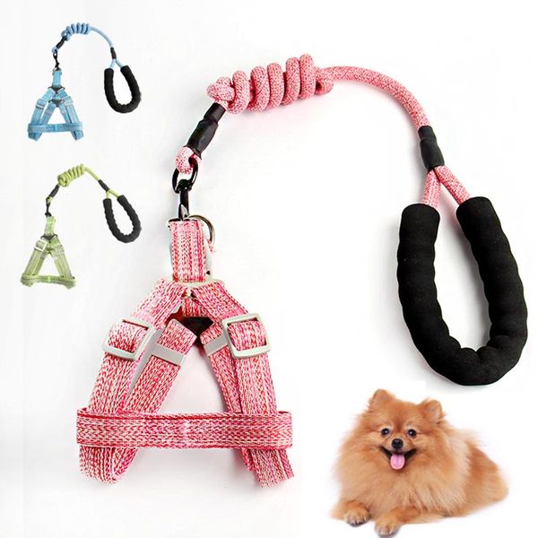 dog collars & leashes pet harness leash adjustable vest collar puppy outdoor walking chihuahua terier schnauzer small medium dogs cat
dog collars & leashes pet harness leash adjustable vest collar puppy outdoor walking chihuahua terier schnauzer small medium dogs cat