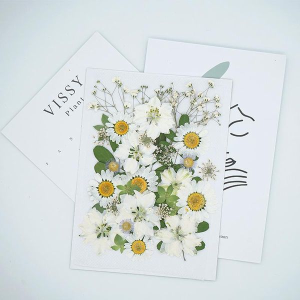 decorative flowers & wreaths 36pcs/pack real assorted dried pressed for craft mixed natural white daisy diy resin jewelry art floral frame d
decorative flowers & wreaths 36pcs/pack real assorted dried pressed for craft mixed natural white daisy diy resin jewelry art floral frame d