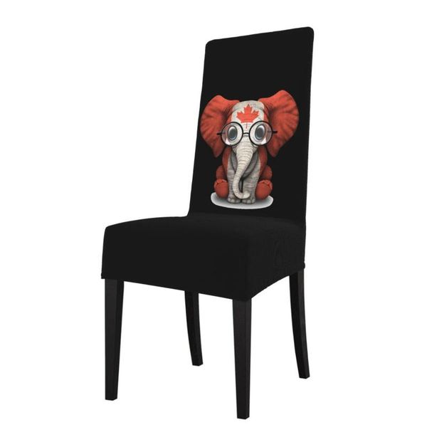 baby elephant with glasses and canadian flag t-shirt home office dining chair covers wedding decoration hogar housse de chaise
baby elephant with glasses and canadian flag t-shirt home office dining chair covers wedding decoration hogar housse de chaise