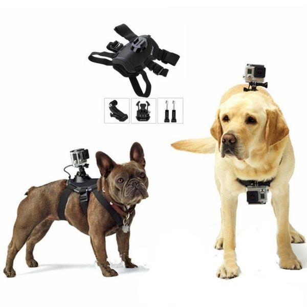 tripods 5-piece dog strap set suitable harness chest dual-use action camera on and back
tripods 5-piece dog strap set suitable harness chest dual-use action camera on and back