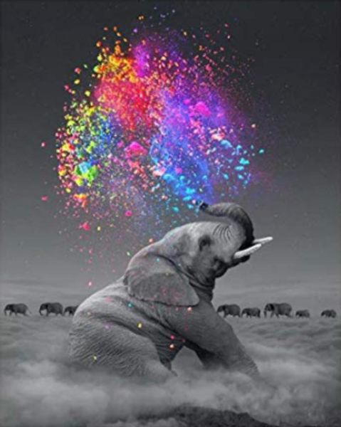paintings elephant animal diy handmade oil paint by numbers kit on canvas wall art home decor digital painting for wedding family
paintings elephant animal diy handmade oil paint by numbers kit on canvas wall art home decor digital painting for wedding family
