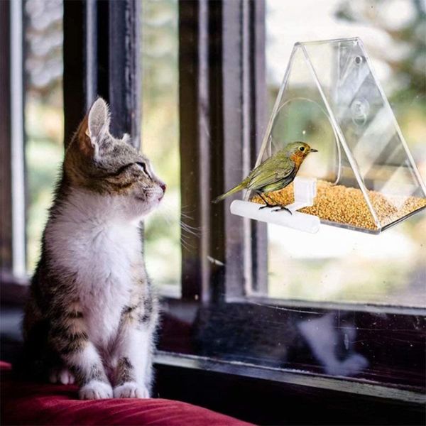 other bird supplies 3 style transparent acrylic feeder food seed holder container triangular hanging suction clear viewing cage box
other bird supplies 3 style transparent acrylic feeder food seed holder container triangular hanging suction clear viewing cage box