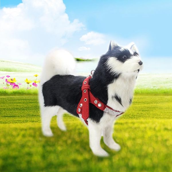 dog collars & leashes pet outdoor harness chest strap adjustable vest soft suede for small medium dogs
dog collars & leashes pet outdoor harness chest strap adjustable vest soft suede for small medium dogs