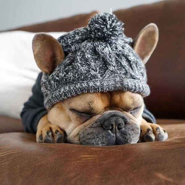 dog apparel hat autumn and winter fur ball keeps warm windproof puff knitting method pet headgear
dog apparel hat autumn and winter fur ball keeps warm windproof puff knitting method pet headgear