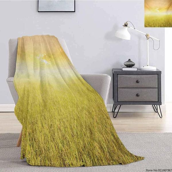 yellow plush throw blanket for couch rice field farm and sunset countryside agriculture sun rays evening cloudscape all season blankets
yellow plush throw blanket for couch rice field farm and sunset countryside agriculture sun rays evening cloudscape all season blankets