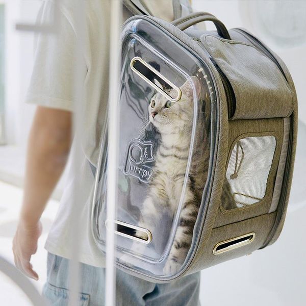 dog car seat covers pet out backpack bag shoulder portable cat go products accessories
dog car seat covers pet out backpack bag shoulder portable cat go products accessories