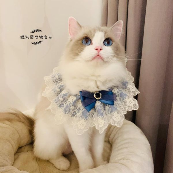 cat collars & leads fashion bowknot pet collar lace bibs cute bib lovely dog necklace decor for small
cat collars & leads fashion bowknot pet collar lace bibs cute bib lovely dog necklace decor for small