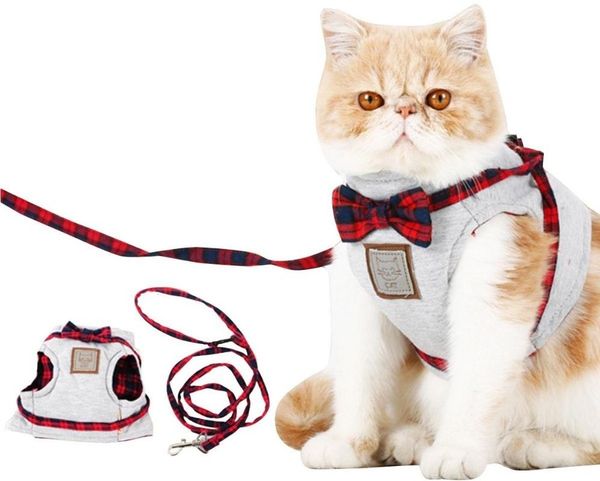 pet cat harness vest with leash bowtie gentleman suit mesh strap chest tuxedo cute bowknot jacket+leash set collars & leads
pet cat harness vest with leash bowtie gentleman suit mesh strap chest tuxedo cute bowknot jacket+leash set collars & leads