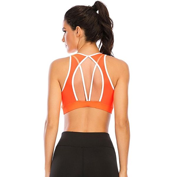 professional women sport bra front running yoga vest push up shockproof wirecrop fitness outfit
professional women sport bra front running yoga vest push up shockproof wirecrop fitness outfit