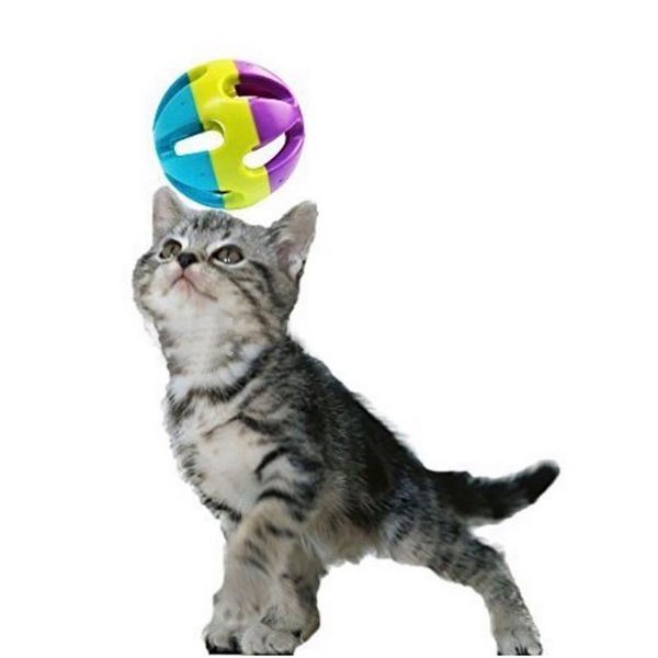 cat toys 1 piece toy ball plastic interactive exercise training balls with bells funny playing pet cats accessories
cat toys 1 piece toy ball plastic interactive exercise training balls with bells funny playing pet cats accessories