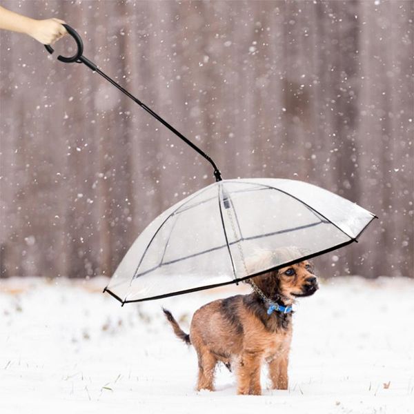 adjustable rainy snowy day dog walking leash c-type handle transparent pet umbrella portable and detachable collars & leashes
adjustable rainy snowy day dog walking leash c-type handle transparent pet umbrella portable and detachable collars & leashes