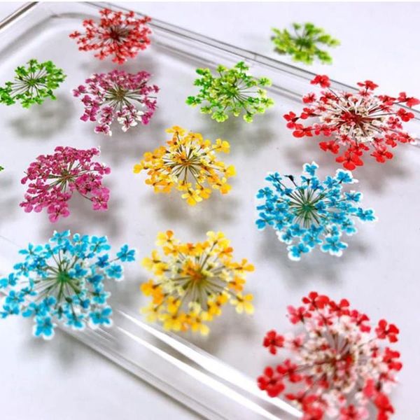 decorative flowers & wreaths differet colour blooming pressed dried flower dry plants for making candle craft diy card scrapbooking crafts
decorative flowers & wreaths differet colour blooming pressed dried flower dry plants for making candle craft diy card scrapbooking crafts