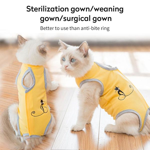 summer anti-licking sterilization suit gown pet supplies female cat weaning thin section breathable costumes
summer anti-licking sterilization suit gown pet supplies female cat weaning thin section breathable costumes