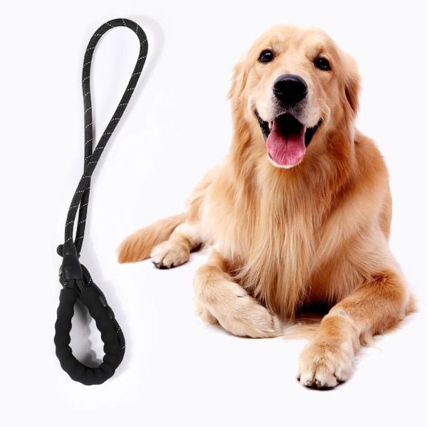 1pcs p chain leash pet collar dog one piece set multi-size, hand-walking explosion-proof punch is pulling collars & leashes
1pcs p chain leash pet collar dog one piece set multi-size, hand-walking explosion-proof punch is pulling collars & leashes