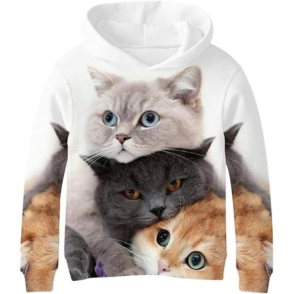 three cats novelty hoodies for boys and girls 3d printed pullover hooded sweatshirt with pockets 100-160, Black
three cats novelty hoodies for boys and girls 3d printed pullover hooded sweatshirt with pockets 100-160, Black
