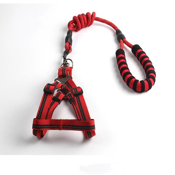 dog collars & leashes pet supplies traction rope reflective chain chest strap cat fashion and beautiful durable comfortable
dog collars & leashes pet supplies traction rope reflective chain chest strap cat fashion and beautiful durable comfortable