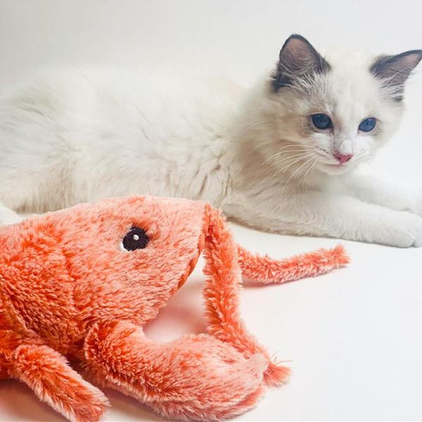 creative pet products plush toy tease cat electric jump shrimp with toys
creative pet products plush toy tease cat electric jump shrimp with toys