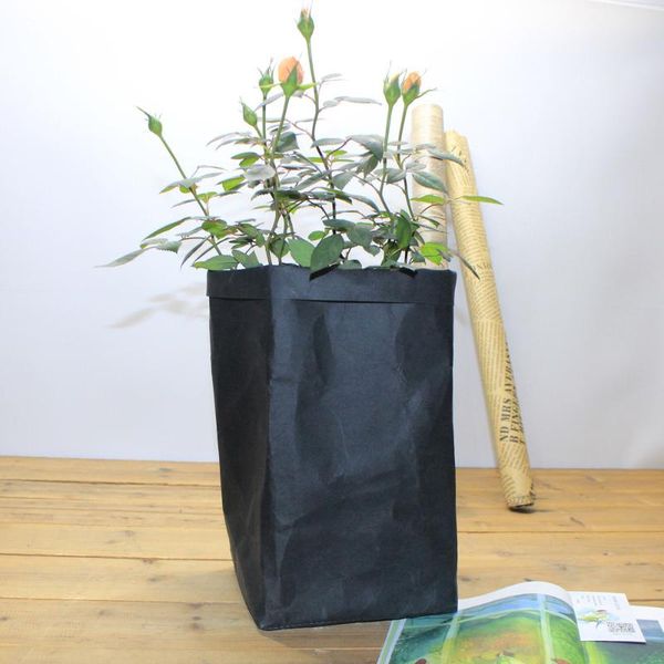 storage bags 2021 washable kraft paper bag plant flowers pots multifunction home reuse
storage bags 2021 washable kraft paper bag plant flowers pots multifunction home reuse