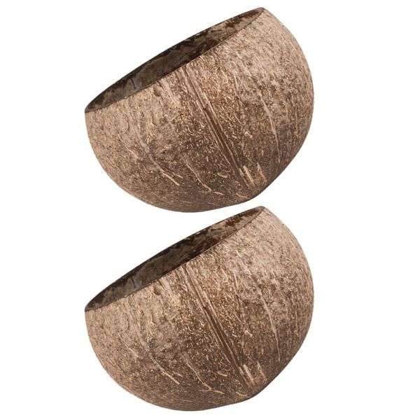 other bird supplies 2pcs natural small pet cage feeding bowl hamster food storage
other bird supplies 2pcs natural small pet cage feeding bowl hamster food storage