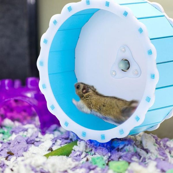 hamster exercise wheel mouse silent rotatory running jogging disc pet funny sports toy for household small animal accessories supplies
hamster exercise wheel mouse silent rotatory running jogging disc pet funny sports toy for household small animal accessories supplies