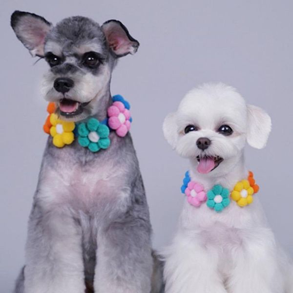 cat collars & leads plush ball dog collar necklace sweet pet scarf cute kitty grooming accessories pink puppy neck strap yorkie supplies
cat collars & leads plush ball dog collar necklace sweet pet scarf cute kitty grooming accessories pink puppy neck strap yorkie supplies