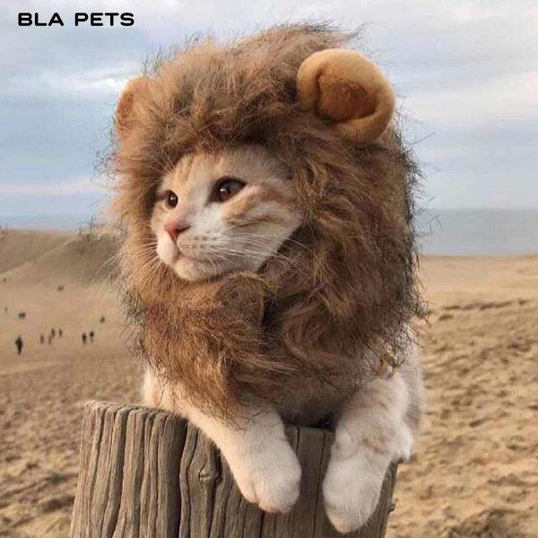 Cats ion Mane Cat Costume ion Hair Wig Cap Dog Costumes Sma Dogs Christmas Pet Haoween Costumes
Cats ion Mane Cat Costume ion Hair Wig Cap Dog Costumes Sma Dogs Christmas Pet Haoween Costumes