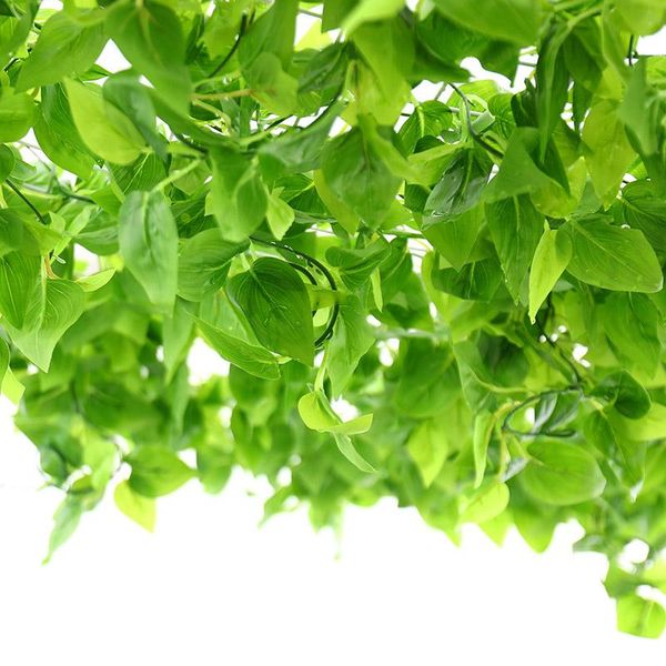 decorative flowers & wreaths 240cm real touch silk artificial hanging grape leaf garland plants vine fake creeper leaves home wedding garden
decorative flowers & wreaths 240cm real touch silk artificial hanging grape leaf garland plants vine fake creeper leaves home wedding garden