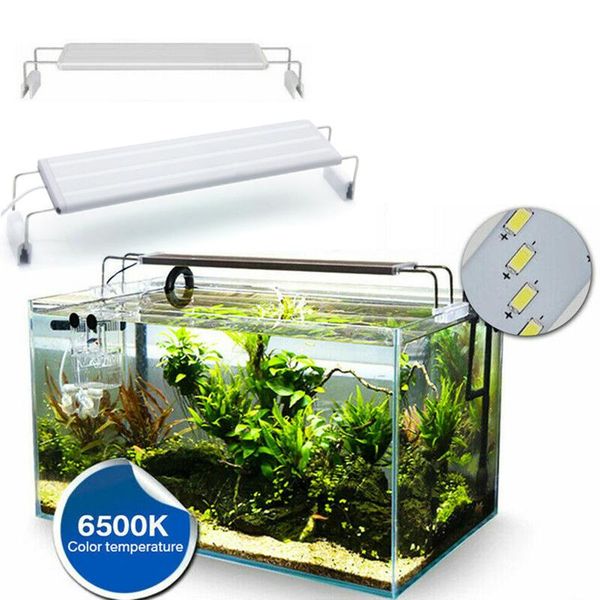 aquariums lighting 5730smd slim led aquarium fish tank light bar clip on lamp with extendable bracket blue & white leds
aquariums lighting 5730smd slim led aquarium fish tank light bar clip on lamp with extendable bracket blue & white leds