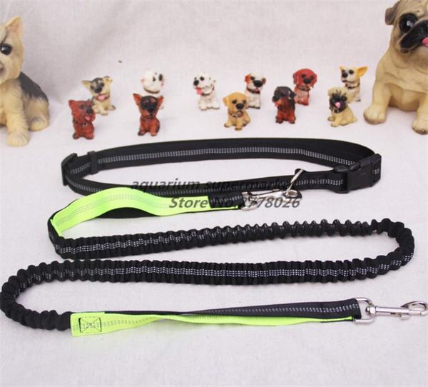 dogs leash running elasticity hand y pet products harness collar jogging lead and adjustable waist rope dog collars & leashes
dogs leash running elasticity hand y pet products harness collar jogging lead and adjustable waist rope dog collars & leashes