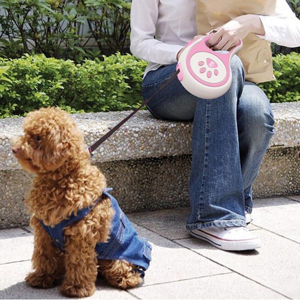 durable dog leash automatic extendable cat lead extending puppy walking running roulette for dogs pet accessories collars & leashes
durable dog leash automatic extendable cat lead extending puppy walking running roulette for dogs pet accessories collars & leashes