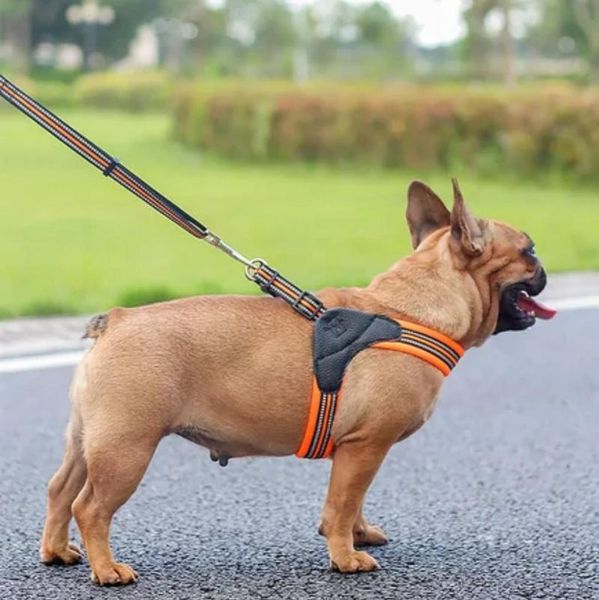dog collars & leashes reflective breathable pet chest strap rope chain traction products coordinates
dog collars & leashes reflective breathable pet chest strap rope chain traction products coordinates