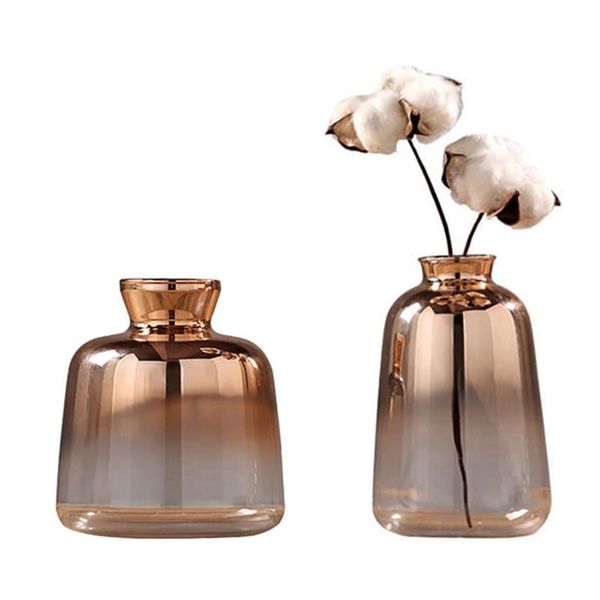 vases 2 pack glass vase nordic electroplated gold flower for home decor dried bottle bar decoration
vases 2 pack glass vase nordic electroplated gold flower for home decor dried bottle bar decoration