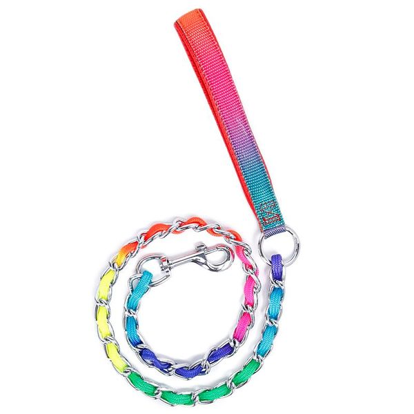 dog collars & leashes fashion luxury rainbow stainless steel strong pet chain leash lead metal silver training small large s/m/l bulk sale
dog collars & leashes fashion luxury rainbow stainless steel strong pet chain leash lead metal silver training small large s/m/l bulk sale