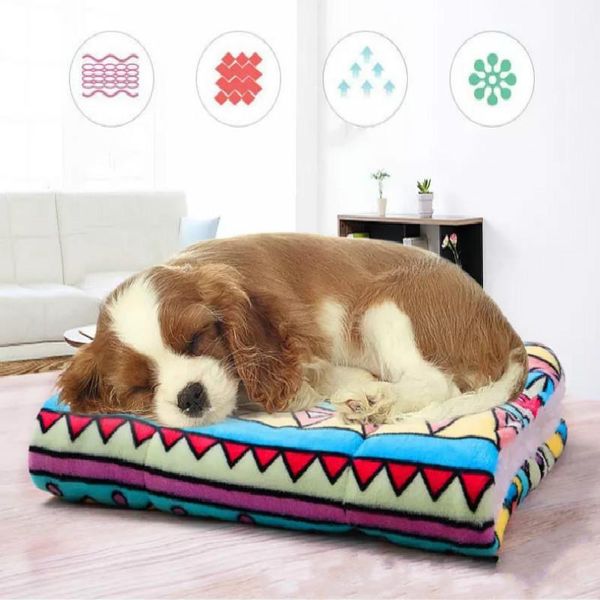 lamb velvet dog mat pet blanket cat nest kennel thick cotton pad warm selling supplies hand wash kennels & pens
lamb velvet dog mat pet blanket cat nest kennel thick cotton pad warm selling supplies hand wash kennels & pens