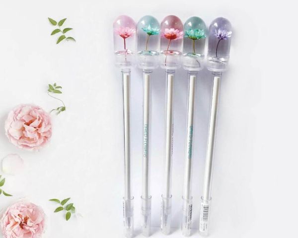 gel pens dried flower gelpen product colorful lotus creative stationery retro student office signature decoration wedding neutral pen
gel pens dried flower gelpen product colorful lotus creative stationery retro student office signature decoration wedding neutral pen