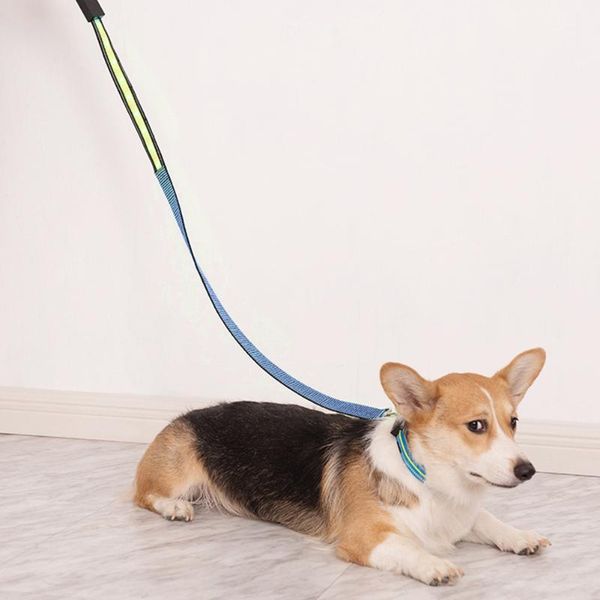 dog collars & leashes 130cm led nylon lead leash for dogs cats walk pet rope outdoor security training pets solid color harness usb charging
dog collars & leashes 130cm led nylon lead leash for dogs cats walk pet rope outdoor security training pets solid color harness usb charging