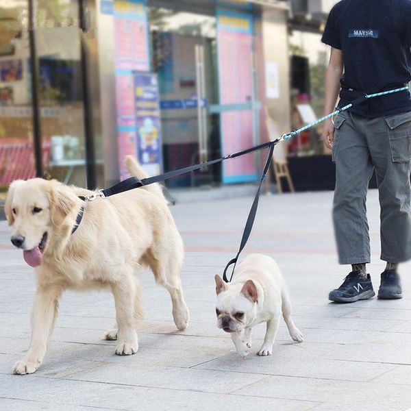 dog harness hands leash dogs walk leashes 2 reflective chain double head harnesses leads collars &
dog harness hands leash dogs walk leashes 2 reflective chain double head harnesses leads collars &