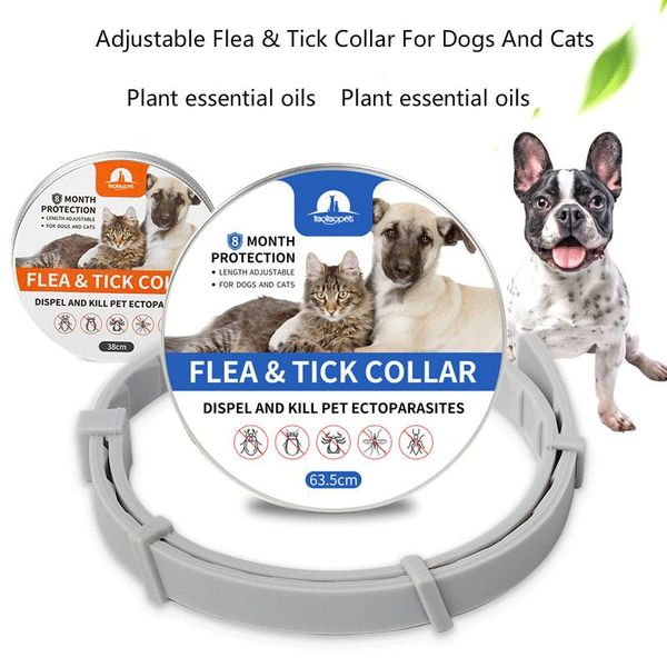dog collars & leashes aluminum box flea tick prevention collar for cats silicone and dogs mosquito repellent
dog collars & leashes aluminum box flea tick prevention collar for cats silicone and dogs mosquito repellent