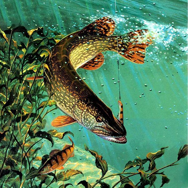 diamond painting 5d big fish embroidery full square/round drill landscape animals pattern cross stitch home decor gift
diamond painting 5d big fish embroidery full square/round drill landscape animals pattern cross stitch home decor gift