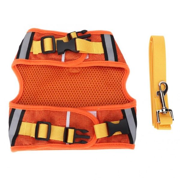 dog collars & leashes pet accessories breathable traction rope set with harness for cat buckle design puppy dogs cats leash tools
dog collars & leashes pet accessories breathable traction rope set with harness for cat buckle design puppy dogs cats leash tools