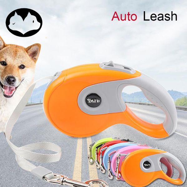 cute dog leash for small large dogs auto leashes pitbull pug pet product durable rope accessories collars &
cute dog leash for small large dogs auto leashes pitbull pug pet product durable rope accessories collars &